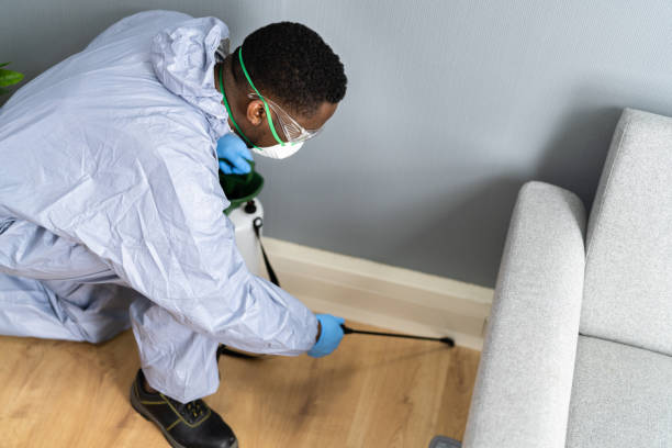 Best Pest Control for Multi-Family Homes  in Devens, MA